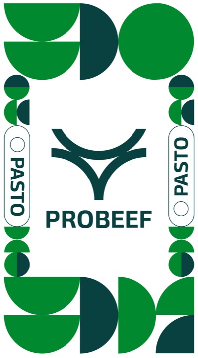 Visual do projeto Probeef Pasto